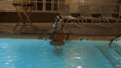 GIF by Jenna Paulette