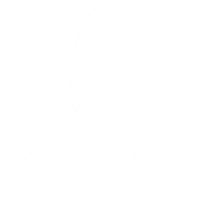 Bfly Sticker by Brandiflymarketigagency
