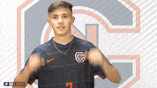 Niccarsh GIF by Carson-Newman Athletics