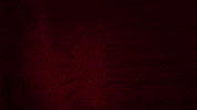 johnrohek music video down stairs steps GIF