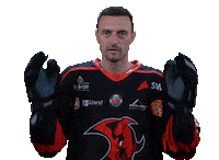 Happy Fight Sticker by Saale Bulls