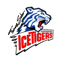 national hockey league sport Sticker by Deutsche Eishockey Liga (DEL)