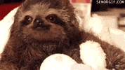 look give GIF