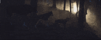 music video GIF