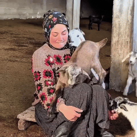 Doğa GIF