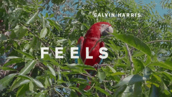 GIF by Sony Music Colombia