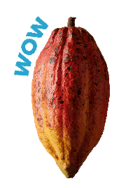 Chocolate Choco Sticker by Ritter Sport