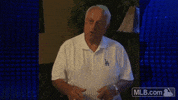 la dancing GIF by MLB