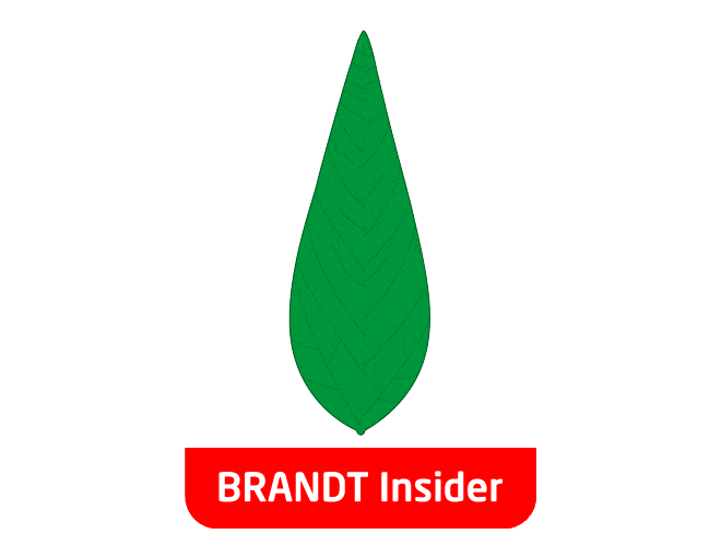 Insider Adjuvante Sticker by BRANDT Brasil