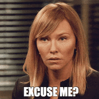Excuse Me Reaction GIF by Law & Order