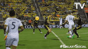 GIF by LA Galaxy