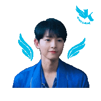 Song Joong Ki Wing Sticker
