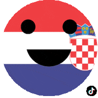 Happy Euro 2020 Sticker by TikTok