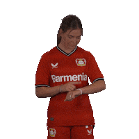 Come On Please Sticker by Bayer 04 Leverkusen