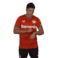 Come On Please Sticker by Bayer 04 Leverkusen