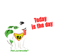 Today Is The Day Pj Petjuvenate Sticker by PetJuvenate - PJ