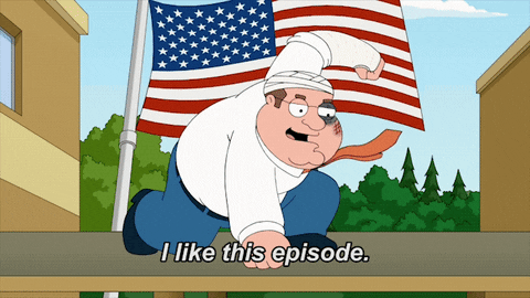 Family Guy Fox GIF by AniDom