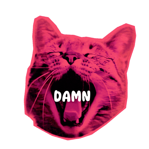 Cat Love Sticker by Seorang Zaki