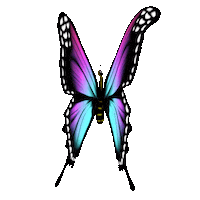 Uri Sticker