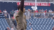 Celebrate San Diego Padres GIF by MLB