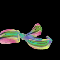 Art Morph GIF by Aleksey Efremov