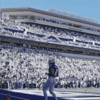 Football Celebrating GIF by JMUDukes