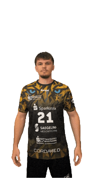 Bundesliga Handball Sticker by hcelbflorenz