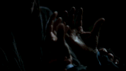 mad city fox GIF by Gotham