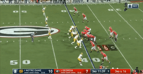 theriotreport giphyupload GIF