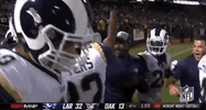2018 Nfl Football GIF by NFL