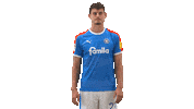 Holstein_Kiel 2 bundesliga serra holstein kiel substitution Sticker