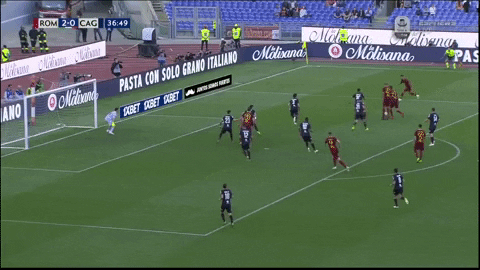pastore GIF