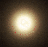 Cat Kitty GIF by sillynub