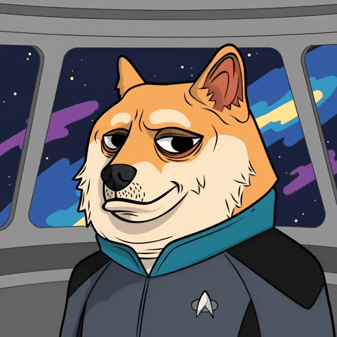 To Boldly Go Star Trek GIF by Doge Pound