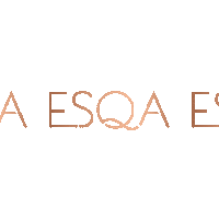 Esqa makeup blush mua powder Sticker