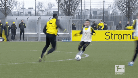 borussia dortmund football GIF by Bundesliga