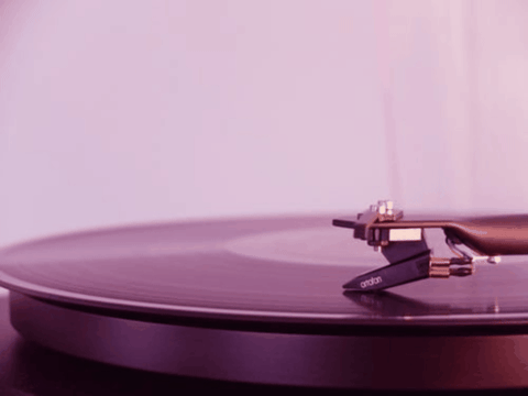 jeremyberman giphygifmaker giphyattribution GIF