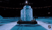 Happy National Hockey League GIF by NHL