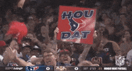 Houston Texans Football GIF by NFL