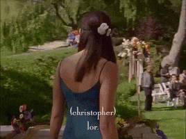 season 2 netflix GIF by Gilmore Girls 