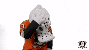 Angry No Way GIF by Anaheim Ducks