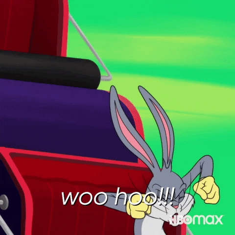 Happy Looney Tunes GIF by Max