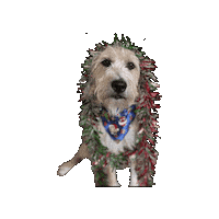 Christmas Dog Sticker by Geekster Pets