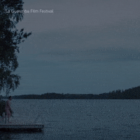 Drunk Friday Night GIF by La Guarimba Film Festival