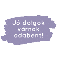 Bodonbox Sticker by Bödön Piac