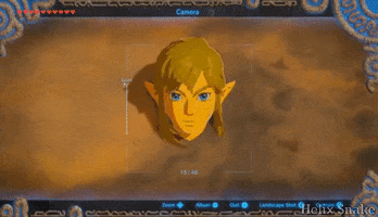 glitch link zelda breath of the wild GIF