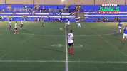 Ricardo Oliveira Football GIF by ELEVEN SPORTS