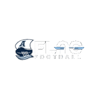 Flag Football Sticker by MLSE Foundation