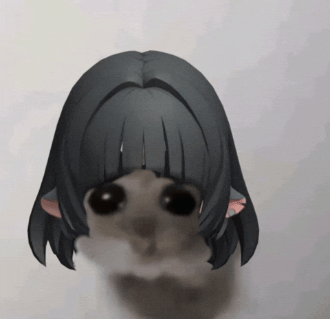 Jane Doe Hamster GIF
