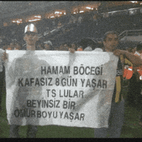 Fb Ts GIF